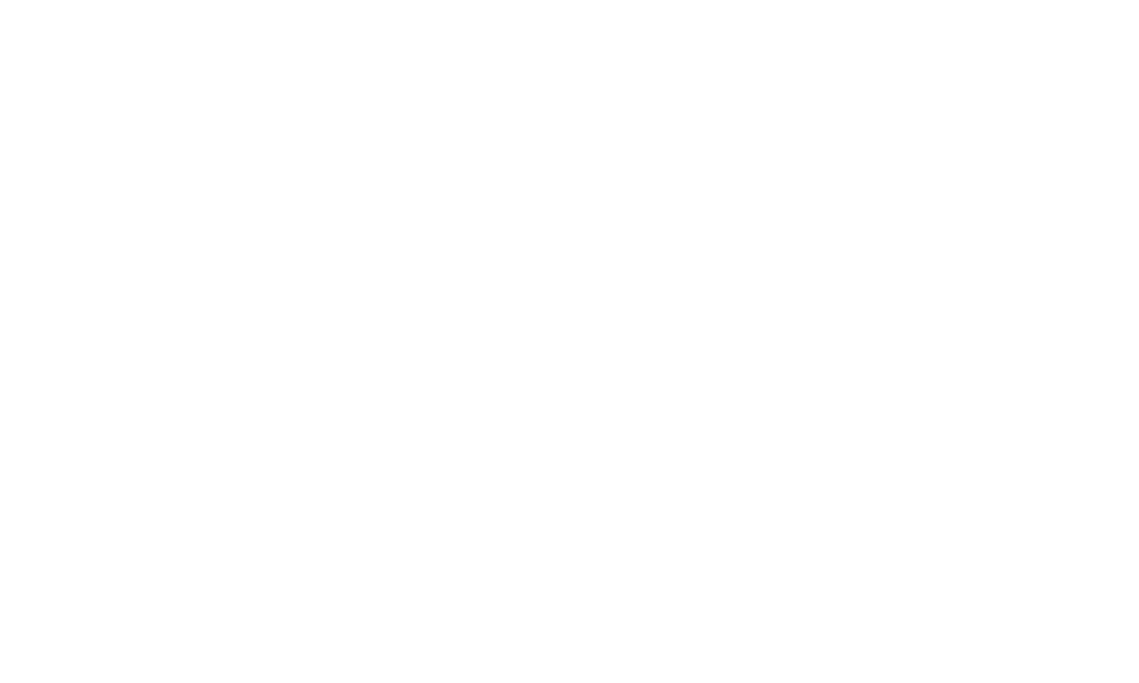 png logo